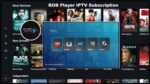BOB Player Subscription Qatar